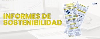 Cuatro de cada cinco empresas españolas informan sobre sostenibilidad