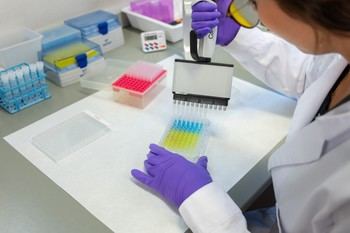 CSIC destina 830.000 euros a investigación sobre alzhéimer gracias a un legado