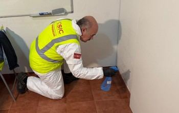 CSIC desarrolla un tratamiento patentado para eliminar moho en viviendas afectadas por inundaciones