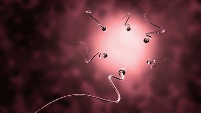 ¿Qué espermatozoide produce una descendencia más sana?