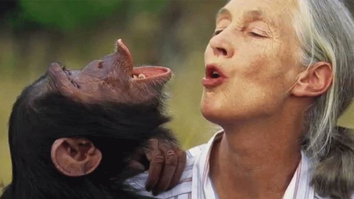 La primatóloga Jane Goodall, doctora honoris causa de la Complutense